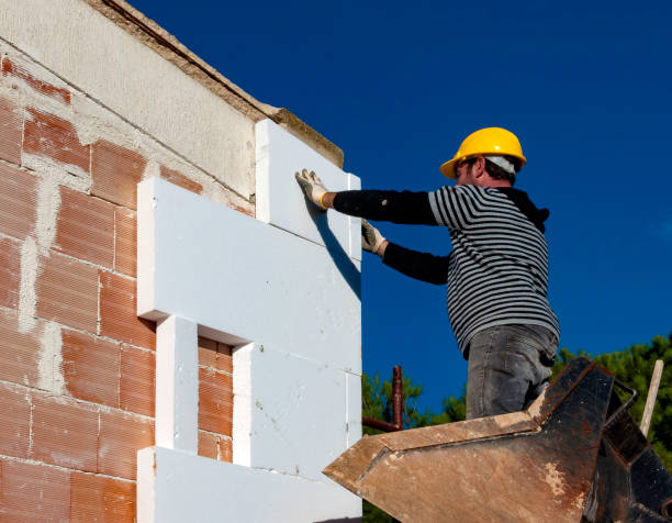 Best Insulation Replacement Services  in Genesee, ID